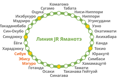 Станции кольцевой линии Яманотэ (© Pixta)
