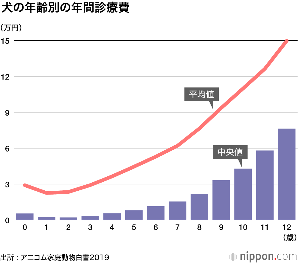 人気犬種、トイプーが11連覇 :ずっと一緒にいたいから…長寿の小型犬が上位席巻