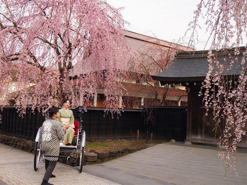 Los rickshaw empiezan y terminan su recorrido frente al Kakunodate Kabazaiku Denshōkan. (Cortesía de la Asociación de Turismo de Kakunodate.)