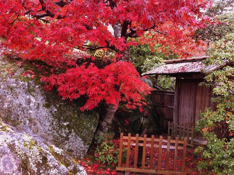 Hakone es el destino más accesible desde Tokio en nuestra lista.