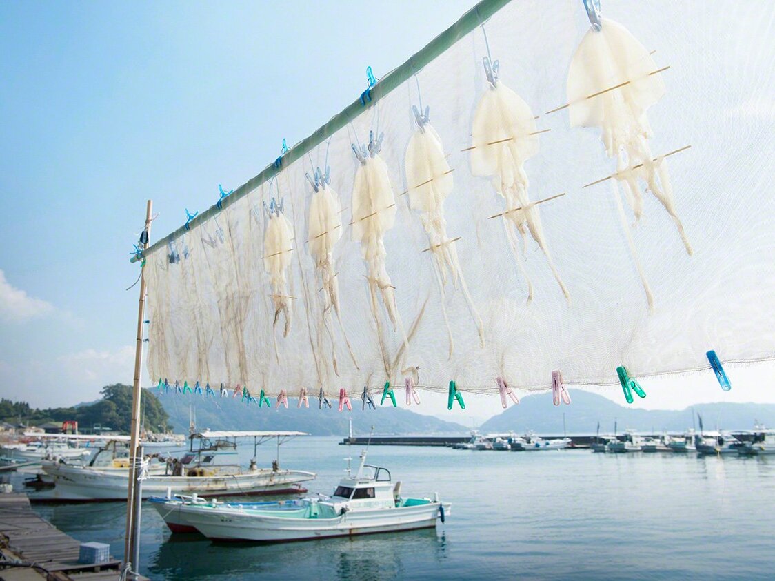 快晴の空を泳ぐ天日干しのイカ（津和地島、つわじじま）