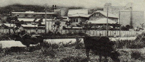 1939年、浅野セメント高雄工場(筆者提供)