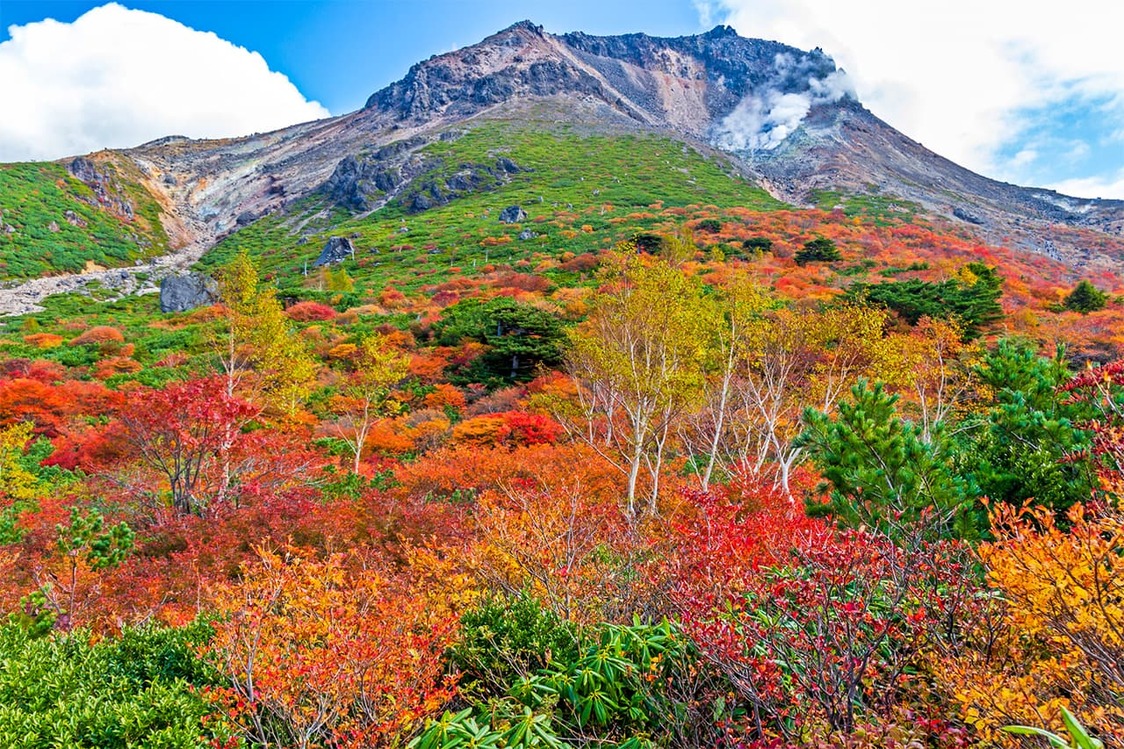 茶臼岳迷人的秋色 ©PIXTA