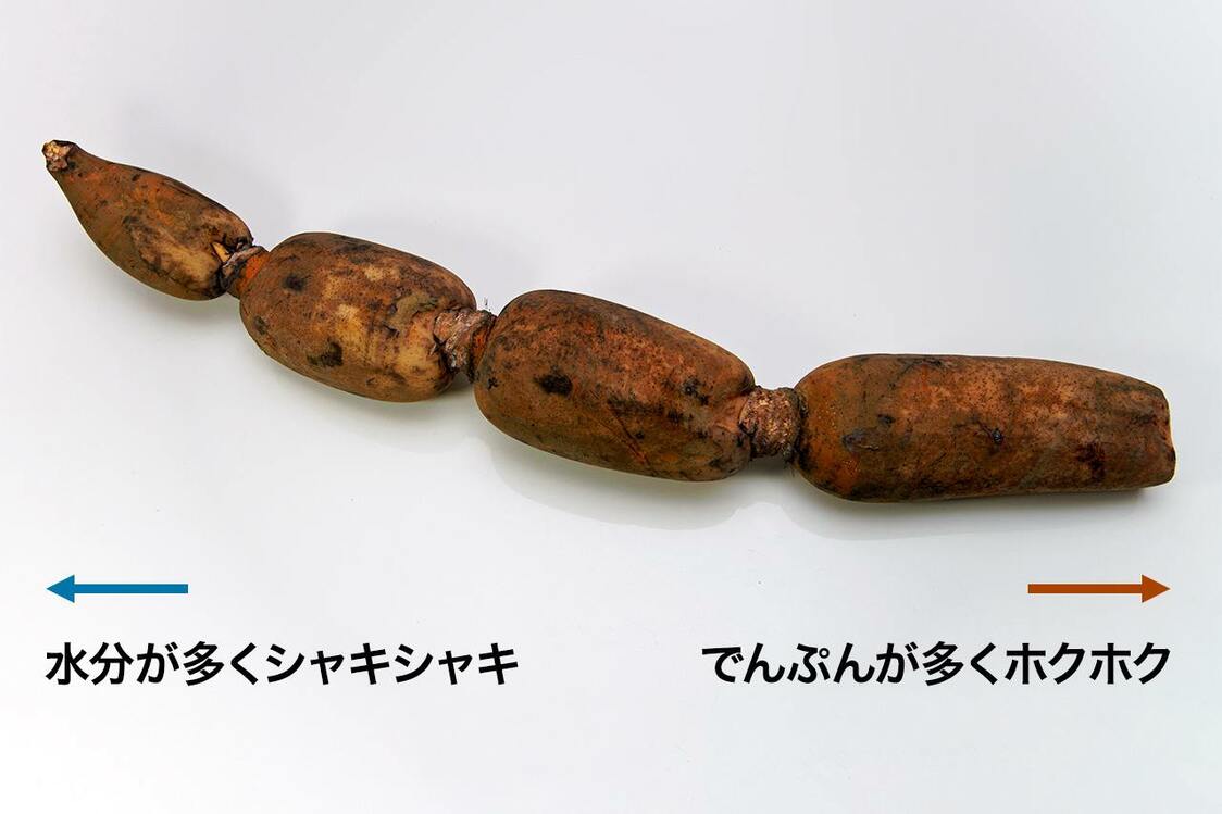 （PIXTA）