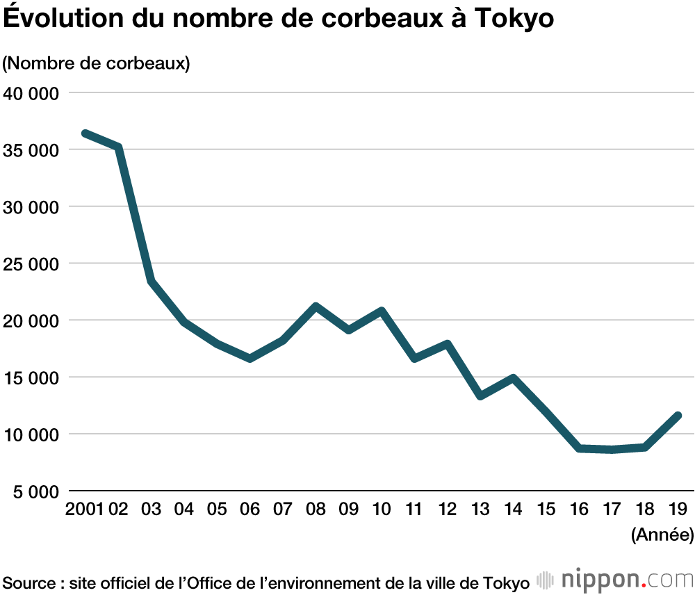 Le corbeau au Japon, si proche de l’homme... pour le meilleur et pour le pire