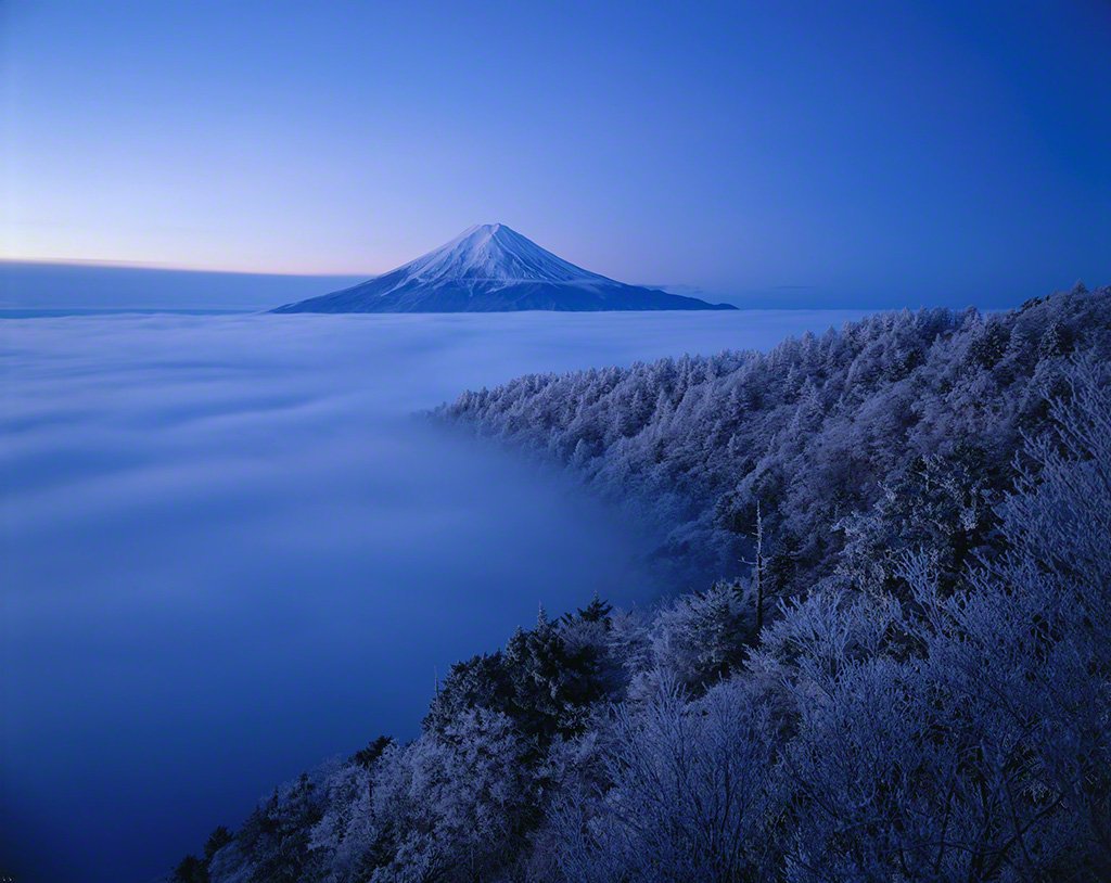 Mount Fuji behind an icy forest (March)