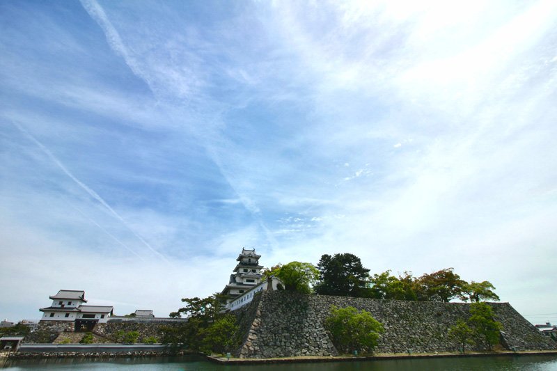 (©cmeg.jp)