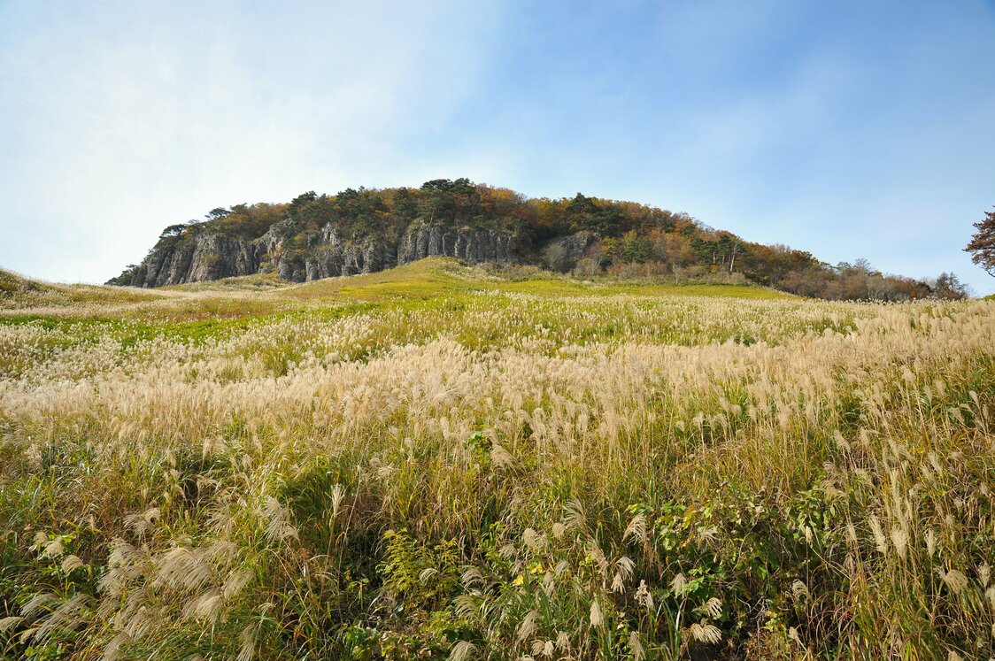 The volcanic plateau at the foot of 616-meter Mount Senjō is where Emperor Go-Daigo (1288–1339) held off forces from the Kamakura Shogunate as he attempted to regain authority. (Courtesy Tottori Prefecture)