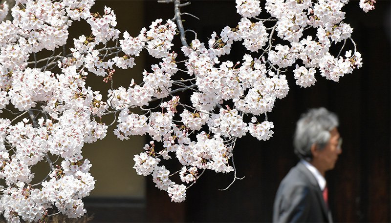 (© Jiji Press Photo)