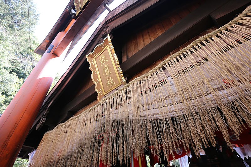 外国人为何会觉得伏见稻荷神社“很酷”？