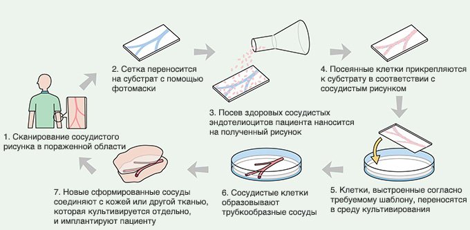 Создание трехмерных капилляров в лаборатории.