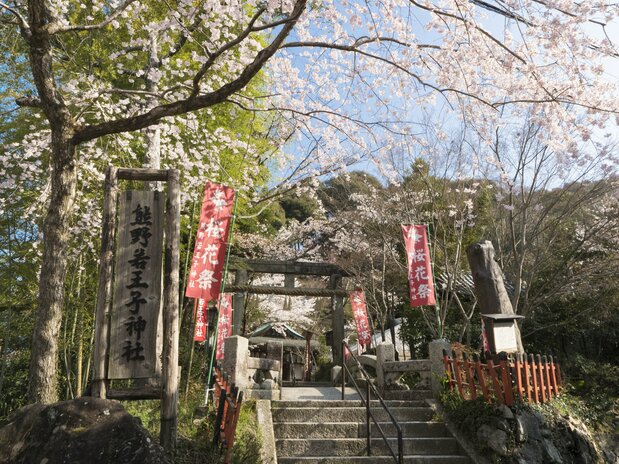 Le sanctuaire Kumano Nyakuôji est situé à l'extrémité sud de la promenade des philosophes. 