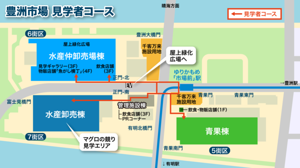 赤い矢印が豊洲市場の見学者コース