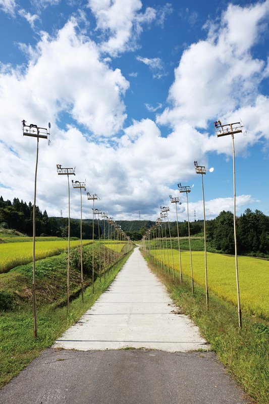 地方創生にかける新潟県「大地の芸術祭」