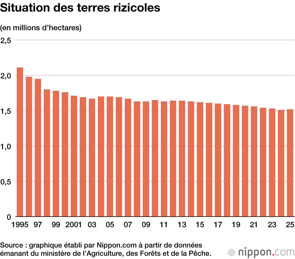 Situation des terres rizicoles