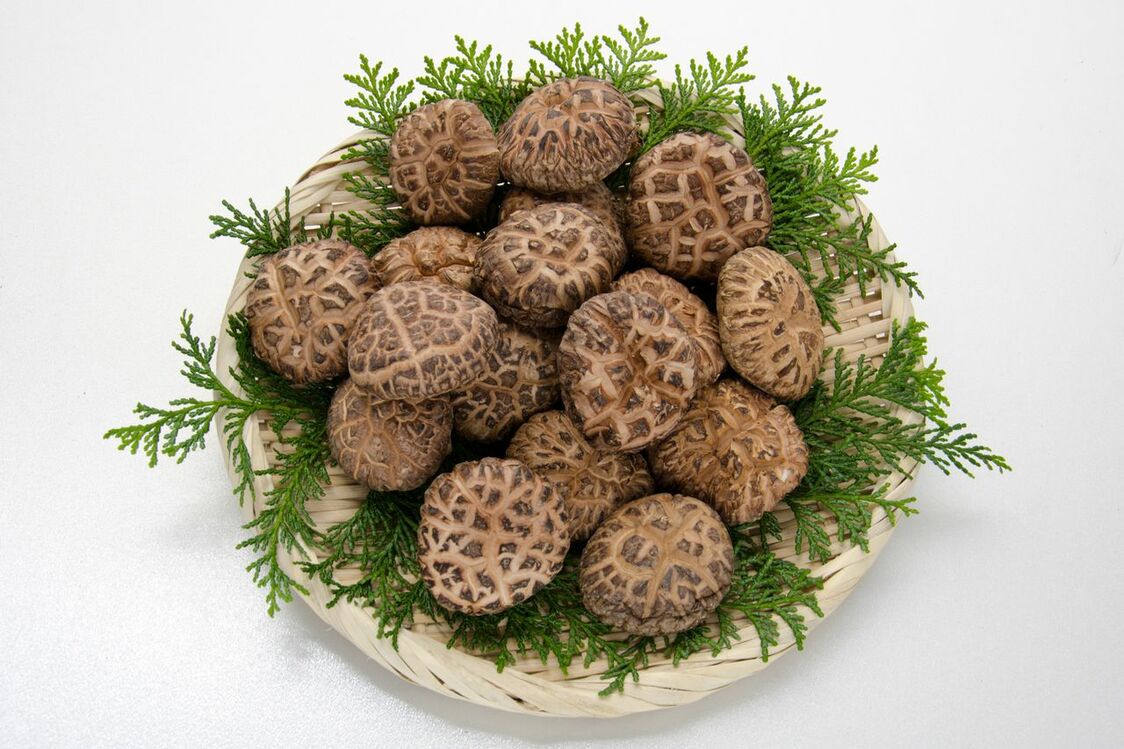 Donko, récoltés en hiver et destinés à être séchés (avec l’aimable autorisation du Conseil de promotion des shiitake d’Ôita)