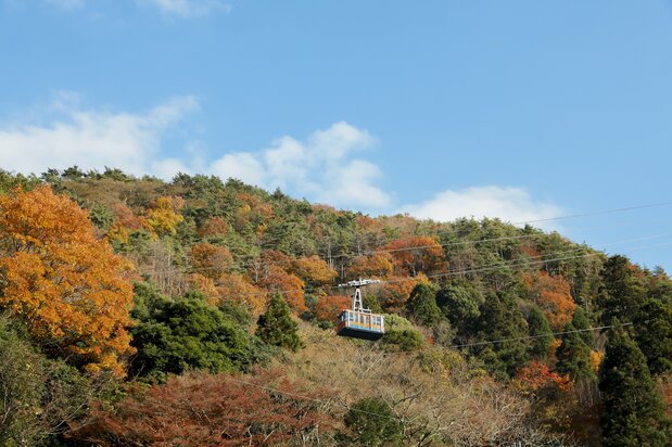 紅葉の中を進む六甲有馬ロープウェー (C)一般財団法人神戸観光局
