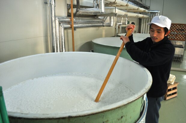 Un tôji (maître-brasseur) remuant le moût de fermentation durant le processus de fermentation du saké, dans la brasserie de Yamatogawa (ville de Kitakata, préfecture de Fukushima, 2015). (© Jiji)