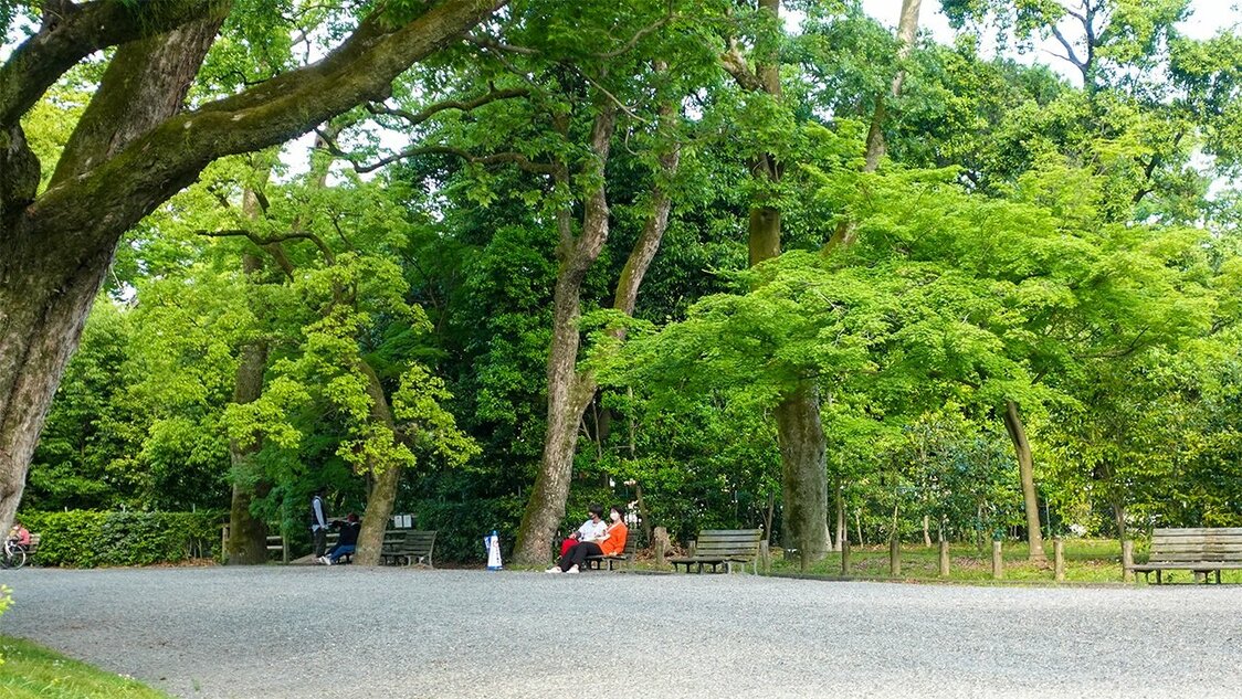 京都御所园内景色