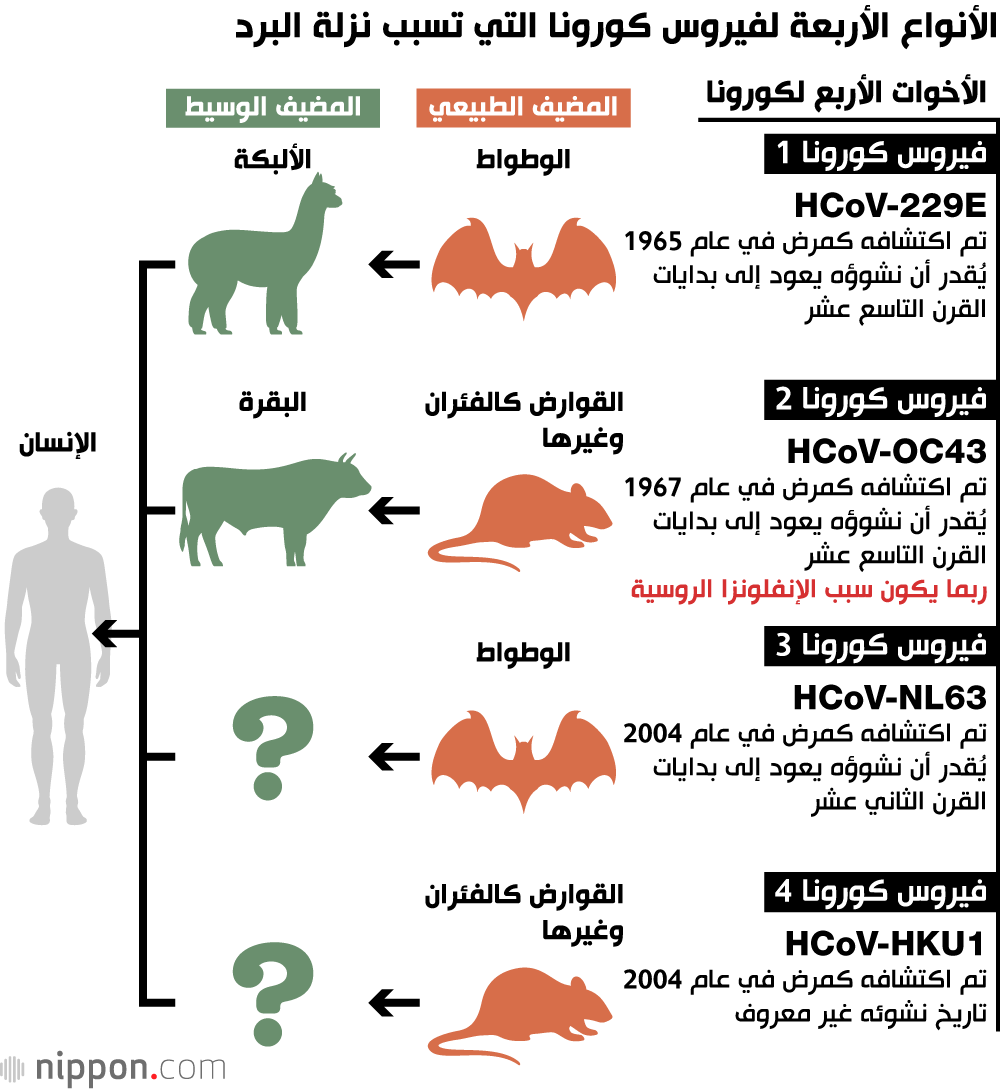 الأنواع الأربعة لفيروس كورونا التي تسبب نزلة البرد