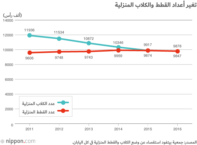 ما السر وراء شعبية القطط في اليابان؟