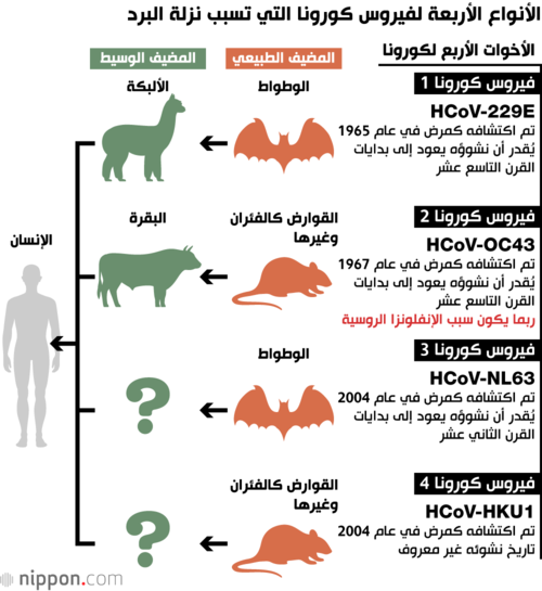 الأنواع الأربعة لفيروس كورونا التي تسبب نزلة البرد