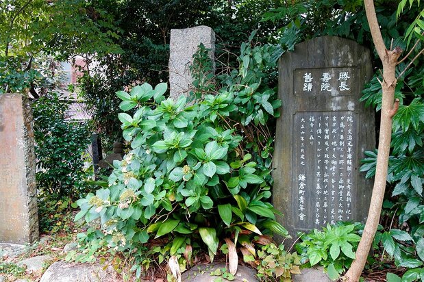 実朝公墓のある勝長寿院跡。鶴岡八幡宮、永福寺と並び、頼朝が建立した3大寺の一つと言われる(筆者撮影)