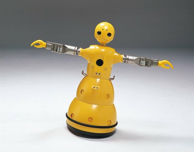Wakamaru / 2002