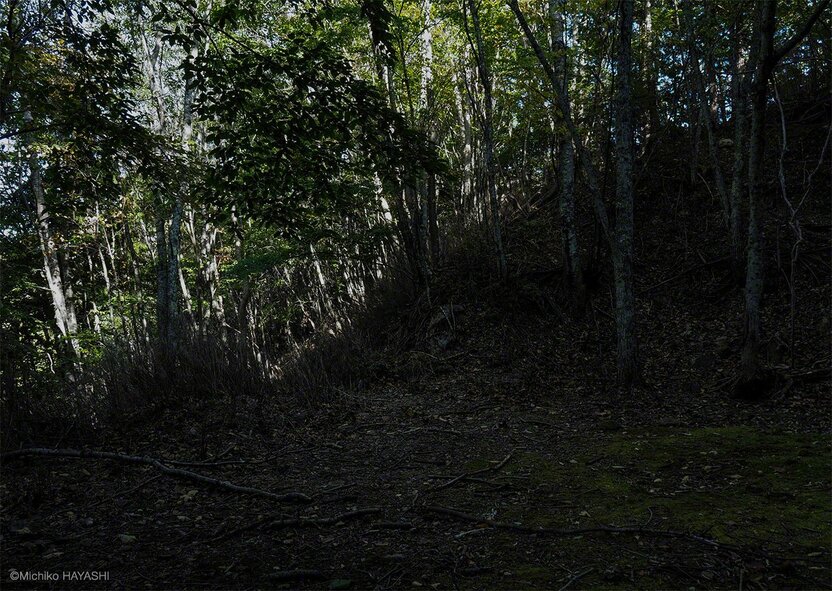 En mayo de 2002 Yagi Hiroshi encontró excremento con pieles y huellas caninas de entre siete y ocho centímetros de longitud, así como los restos de un serau recién devorado, en cierto lugar de la cuenca del río Nakatsu, en Okuchichibu. En ese momento, sintió la presencia de una bestia aterradora detrás de sí, y no pudo mirar hacia atrás.