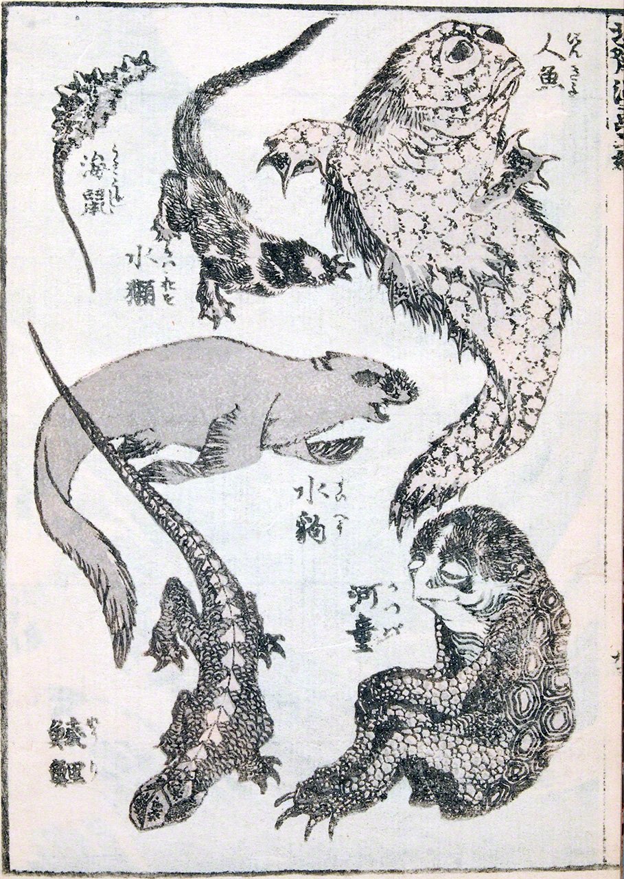 Página del Hokusai manga, cuaderno de sketches del famoso grabador Katsushika Hokusai. En la parte inferior derecha puede verse un kappa representado tomando como modelo una tortuga. (Colección del Museo Histórico de Hyōgo)
