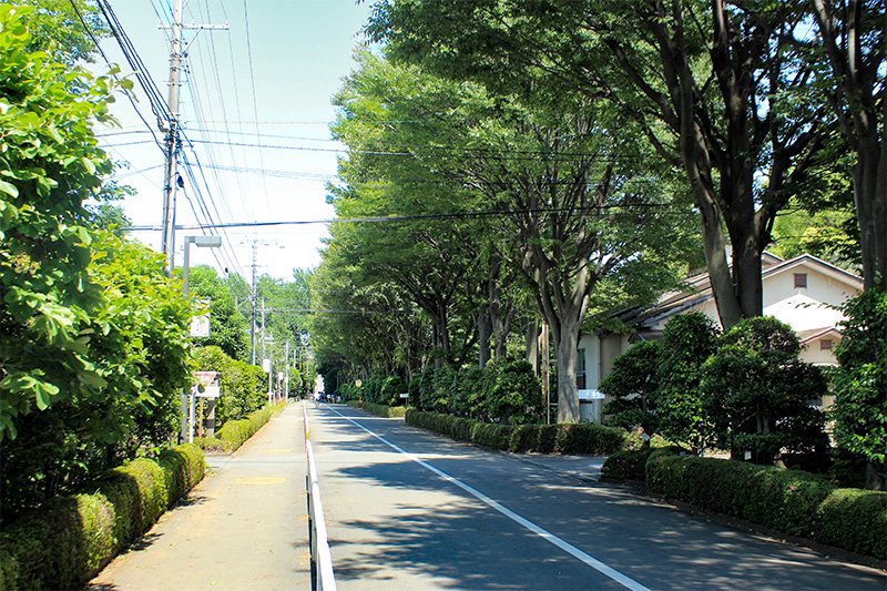 多磨全生園の入居者地区。