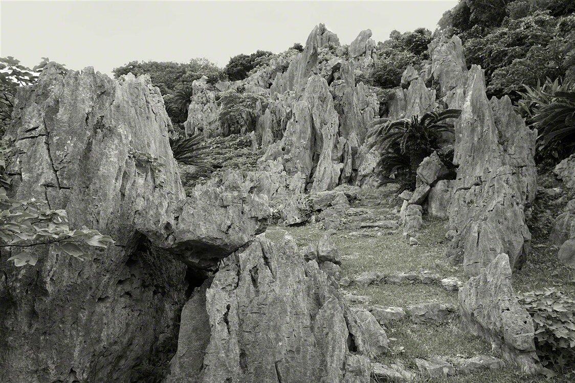 Clusters of limestone stand like forests of stone. (© Ōsaka Hiroshi)
