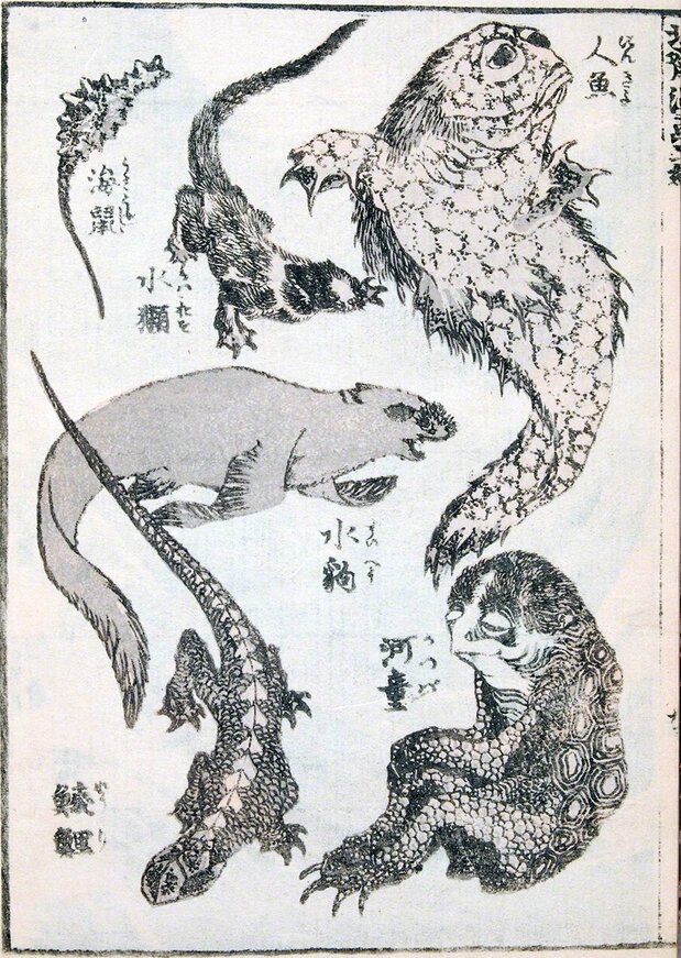 Página del Hokusai manga, cuaderno de sketches del famoso grabador Katsushika Hokusai. En la parte inferior derecha puede verse un kappa representado tomando como modelo una tortuga. (Colección del Museo Histórico de Hyōgo)