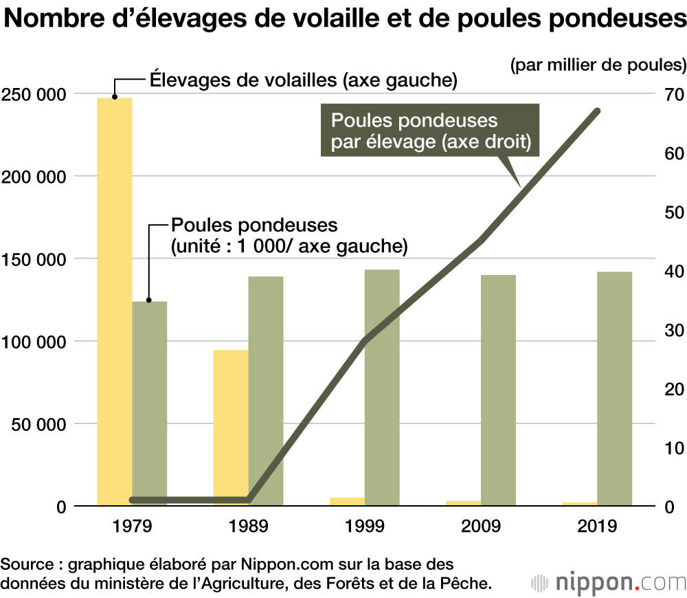 Les Japonais adorent les œufs : une consommation toujours forte grâce à des prix stables pendant 50 ans 
