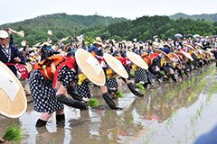 写真提供＝北広島町観光協会