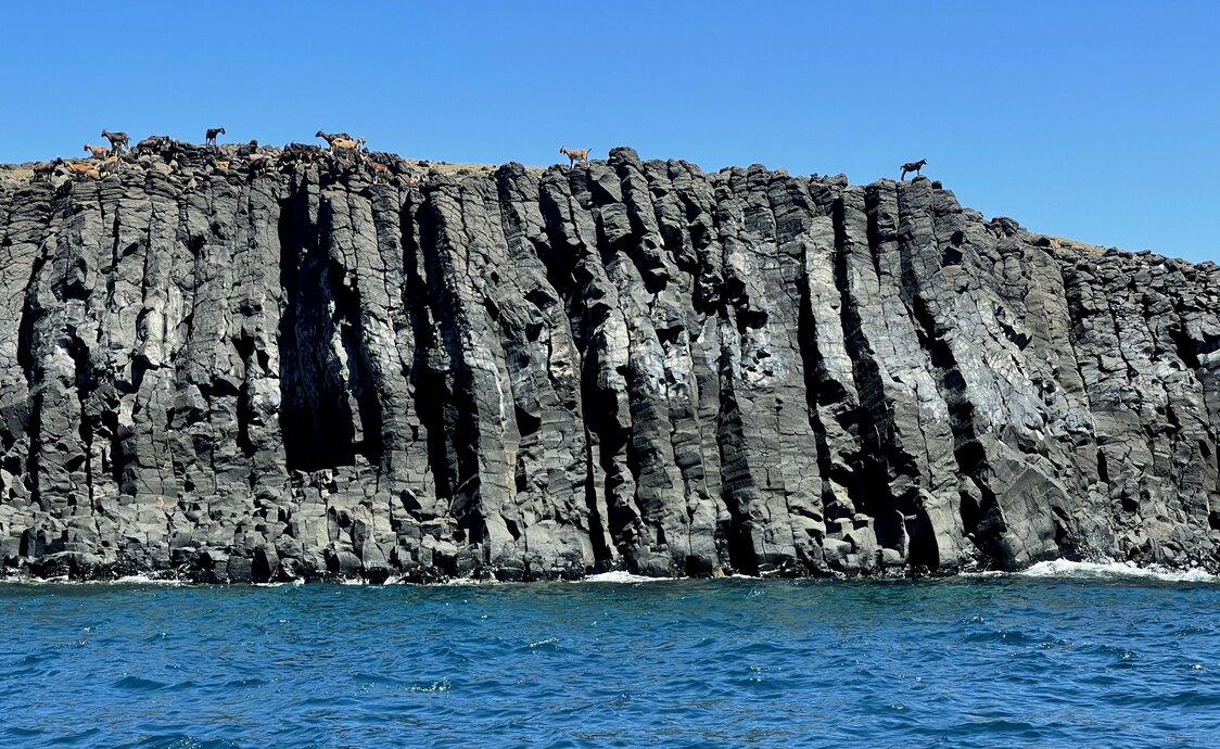 無人島も多く、ヤギが放牧されていることも少なくない。現在、東吉嶼、西吉嶼、東嶼坪嶼、西嶼坪嶼は南方四島国家公園（国立公園）に指定されている