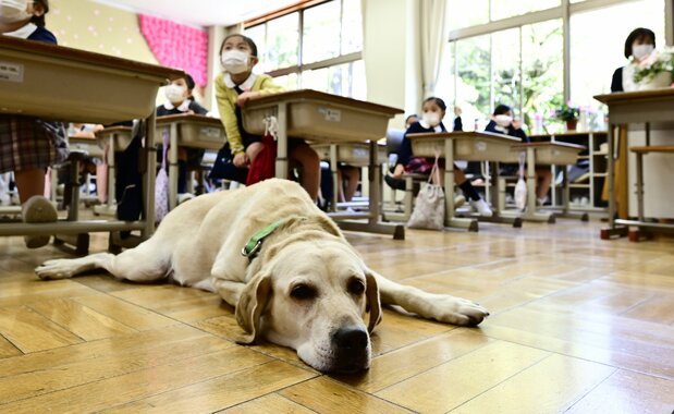 Claire lleva en la escuela desde octubre de 2016.
