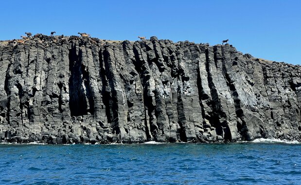 無人島も多く、ヤギが放牧されていることも少なくない。現在、東吉嶼、西吉嶼、東嶼坪嶼、西嶼坪嶼は南方四島国家公園（国立公園）に指定されている