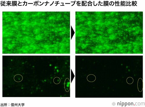 上が従来の逆浸透膜。下が信州大学開発のナノ複合膜。左が48時間後、右が52時間後。従来膜には緑色に着色したタンパク質がべったりとこびり付いているが、ナノ複合膜では付着した小さなタンパク質の塊が52時間後には剥がれてほぼなくなっている（画像提供：信州大学）