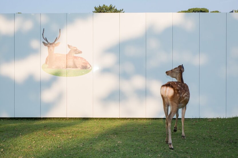 Outside a construction site in Nara Park.