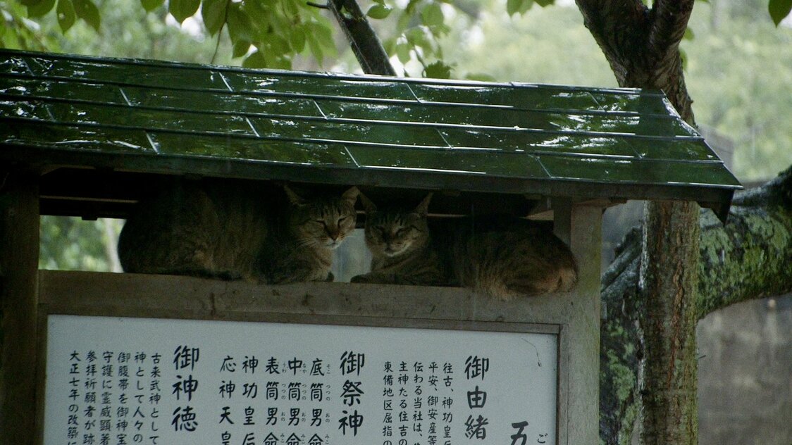 由緒書きの屋根で雨宿り　© 2024 Laboratory X, Inc