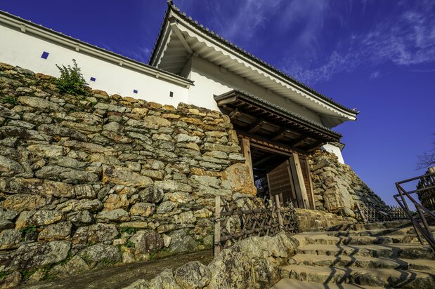 浜松城は野面積み(のづらづみ)の石垣で知られる。自然石を加工せず積み上げた石垣だ。1590(天正18)年に浜松城に入った堀尾吉晴が築いた。(PIXTA)