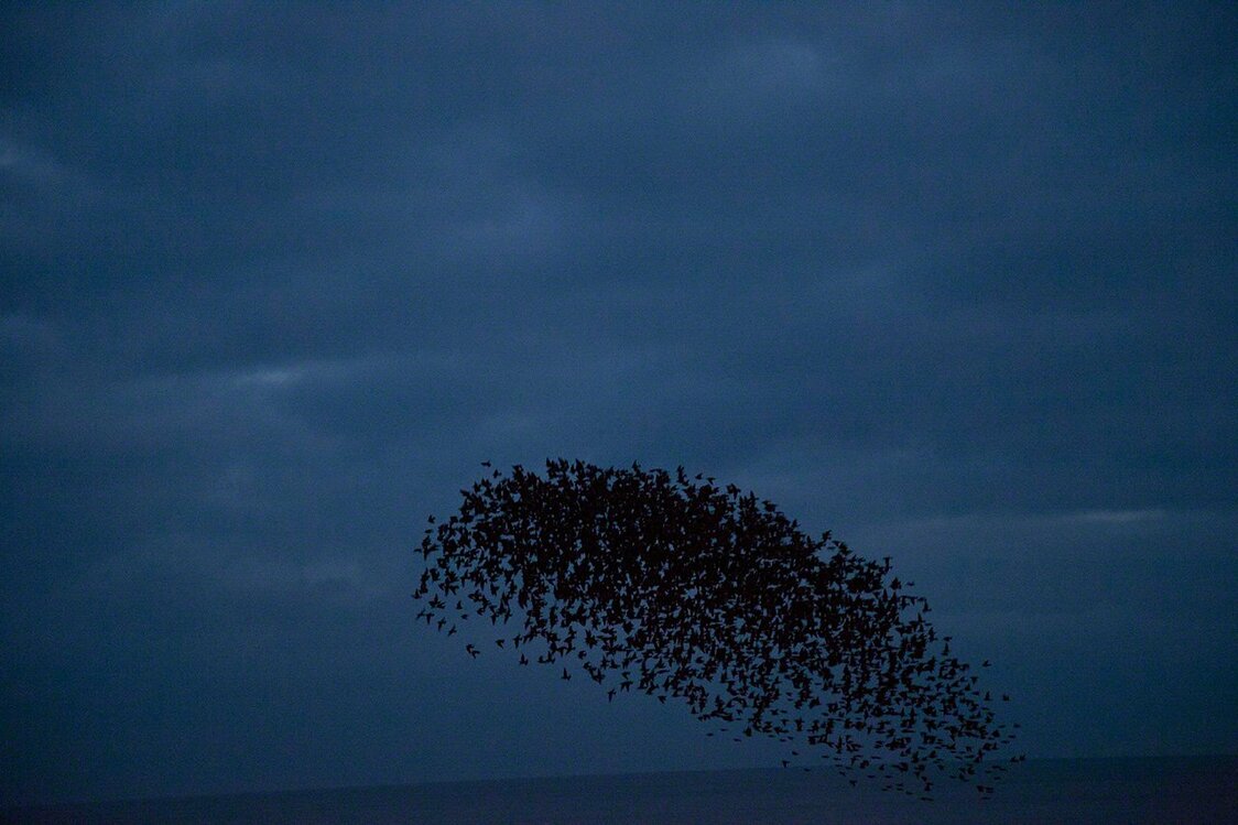 Untitled, from the series of “Halo”, 2016