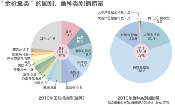 濒临危机的太平洋蓝鳍金枪鱼