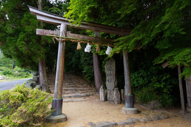 Charming, roughly-hewn stone stairs on the approach to Kamosu Shrine.