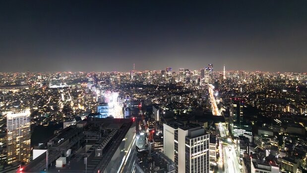 Très peu d’endroits offrent la possibilité de voir à la fois la tour de Tokyo et la tour Skytree.