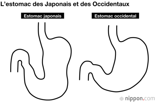 L’estomac des Japonais est fait pour digérer des céréales.