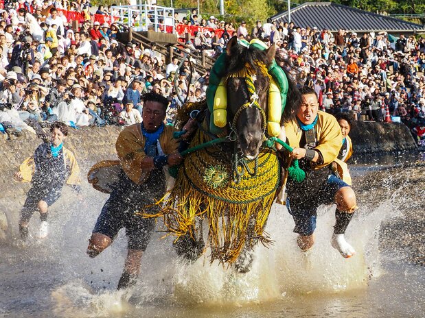 まさに人馬一体のショー。馬は祭りのために地域で飼育している