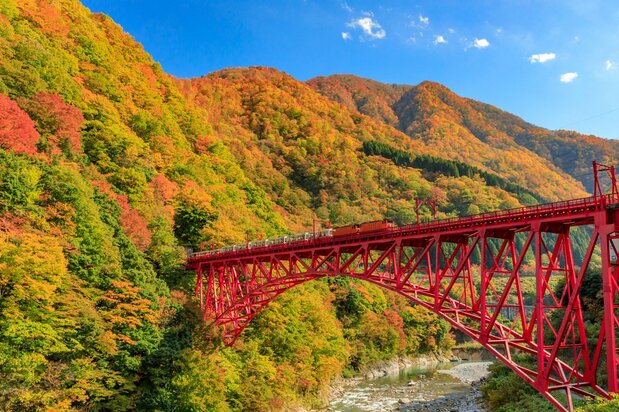 Autumn colors contrast with the red of the Kurobe Gorge Railway’s Shin-Yamabiko Bridge. (© Pixta)
