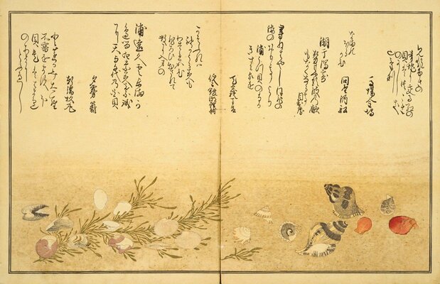 喜多川歌麿的《潮干之女》（国立国会图书馆藏）